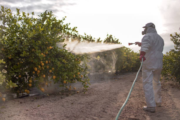 Best Flea Control Services  in Cocoa Beach, FL